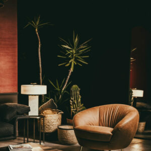 Кресло GIULIA 5