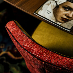 Стул OLIVIA DINING 5