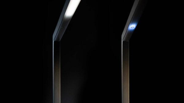 Торшер ESSENTIAL BRACCIO 2