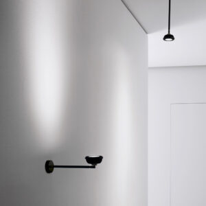 Потолочный светильник AR111 1