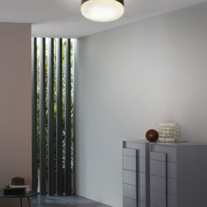 Потолочный светильник FUTURA 1