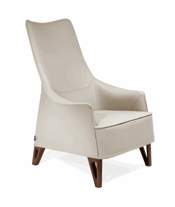 Кресло MOBIUS 2016 1