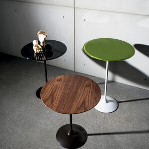 Кофейный столик  TULIP 4