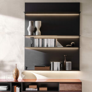 Модульный книжный шкаф PASS WORD EVOLUTION 2