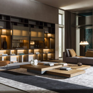 Модульный книжный шкаф 505 UP 3