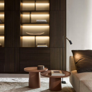 Модульный книжный шкаф 505 UP 15