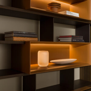 Модульный книжный шкаф 505 UP 5