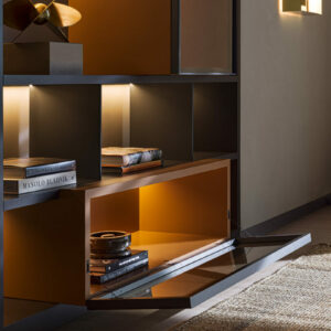 Модульный книжный шкаф 505 UP 9