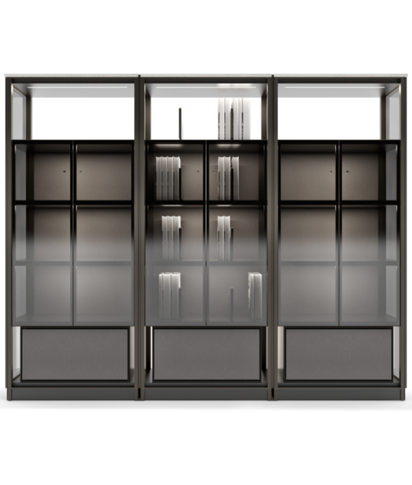 Модульный книжный шкаф DOMUS 1