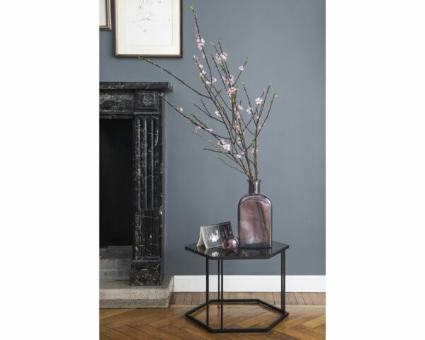 Журнальный Столик RENEE CS/5133-EG 4