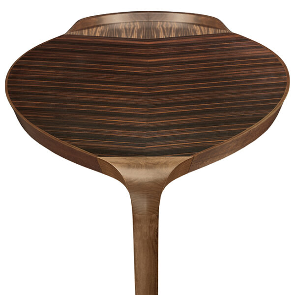 Письменный стол ERASMO 2