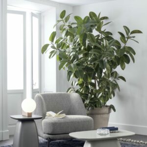 Журнальный Столик CLIFF 3