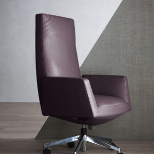 Офисное кресло CHANCELLOR 22