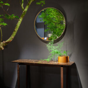 Зеркало REN round 9