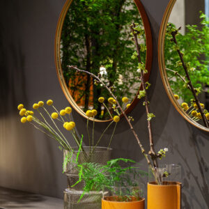 Зеркало REN round 10