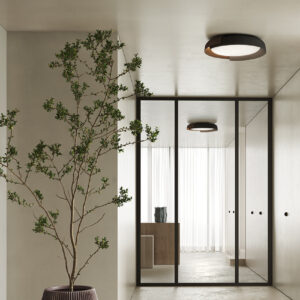 Потолочный светильник DALA 1