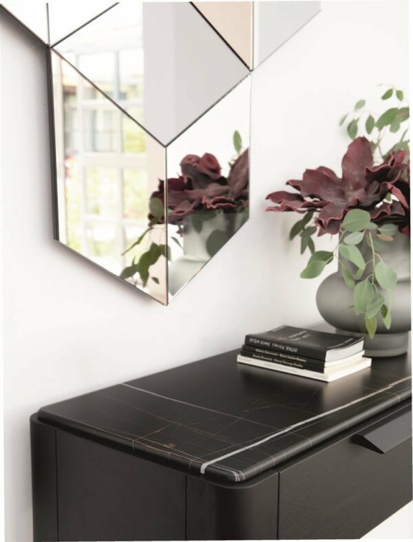 Консоль  Ziggy 10 3