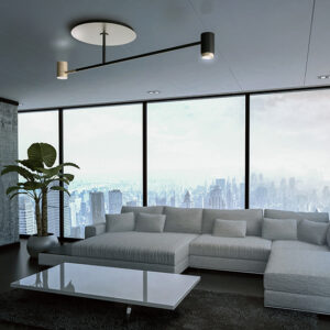 Потолочный светильник MELANOCETUS PL 2