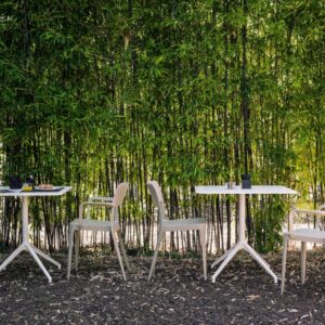 Стул Nenè S PP 16