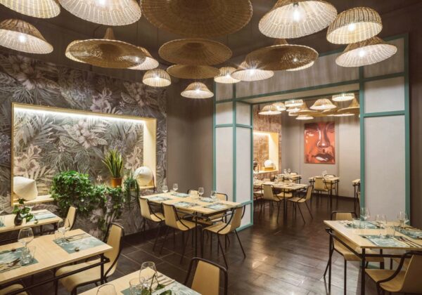 Стул Ola S M LG 5