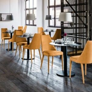 Стул Sharon S R_TS 3