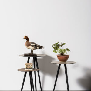 Кофейный столик Trip 2