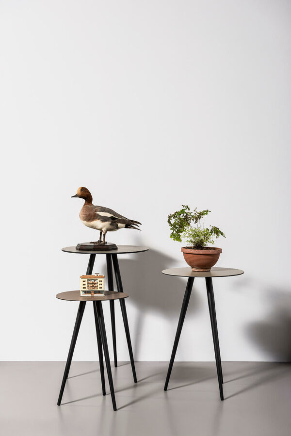 Кофейный столик Trip 2