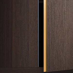 Шкаф с распашными /раздвижными  дверьми Nastro Pianca 3