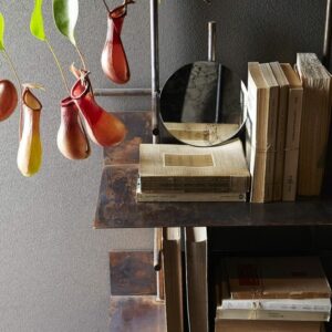 Стеллаж Navigli 5