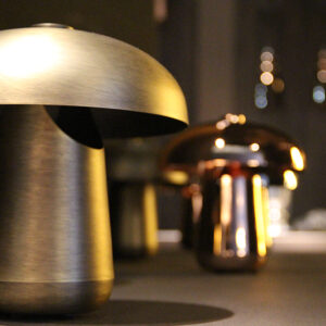 Настольная лампа ONGO TA BATERY 4