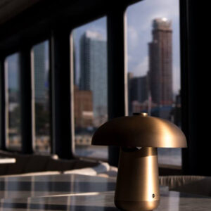 Настольная лампа ONGO TA BATERY 5