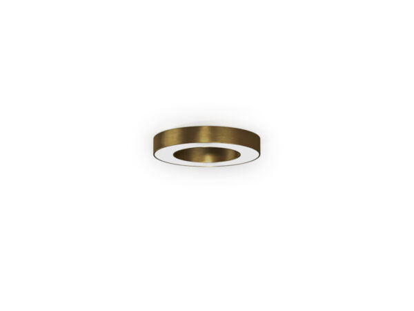 Потолочный светильник SILVER RING 50 1