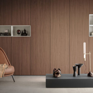 Шкаф с распашными /раздвижными  дверьми Plana Pianca 1