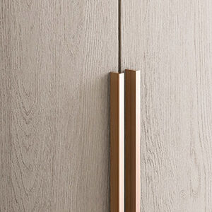 Шкаф с распашными /раздвижными  дверьми Plana Pianca 3