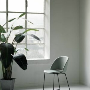 Стул POLO  / POLO С МЯГКИМ СИДЕНИЕМ 8