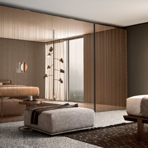 Шкаф с распашными/раздвижными  дверьми Raggio Pianca 4