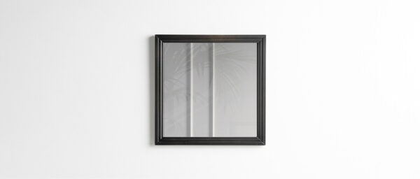 Зеркало SP270 2