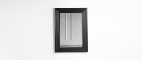 Зеркало SP50 2