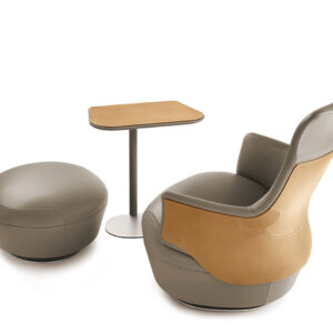 Кресло ASSAYA 18