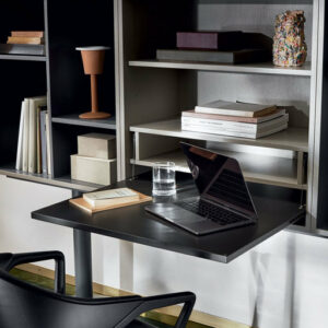 Модульный книжный шкаф Standart P.E.N. 2