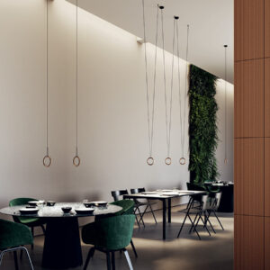 Подвесной светильник IVY V 2