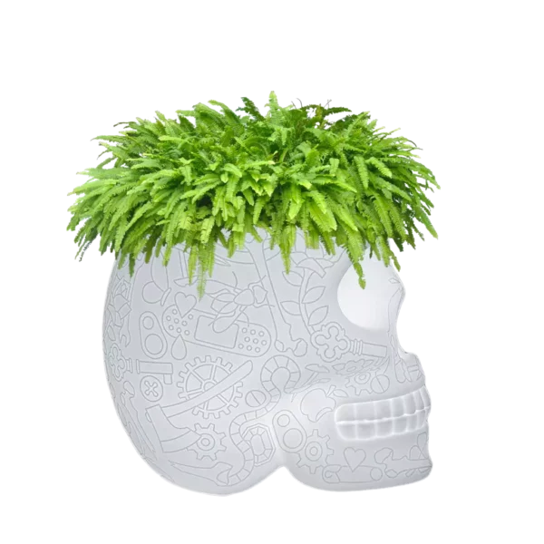 Настольная лампа MEXICO PLANTER 2