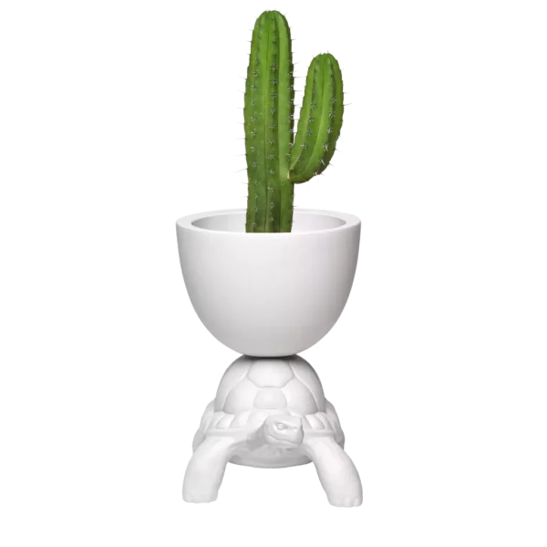 Ваза TURTLE CARRY PLANTER AND CHAMPAGNE 2