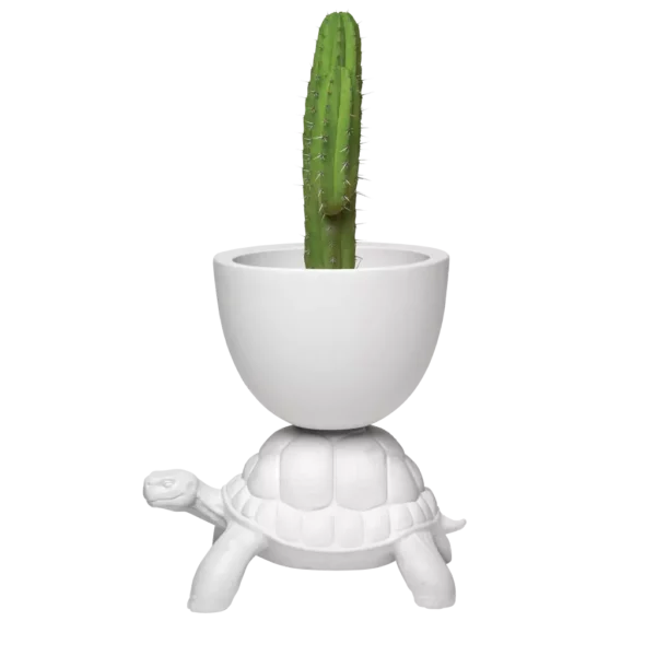 Ваза TURTLE CARRY PLANTER AND CHAMPAGNE 3