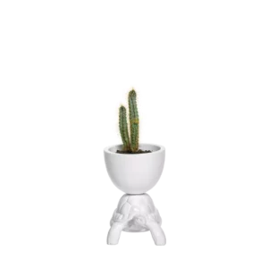 Ваза TURTLE CARRY XS PLANTER 2