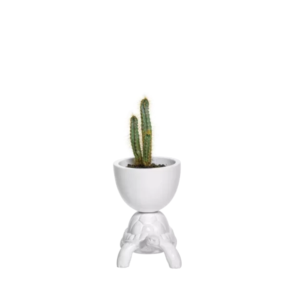Ваза TURTLE CARRY XS PLANTER 2