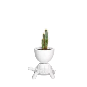 Ваза TURTLE CARRY XS PLANTER 3