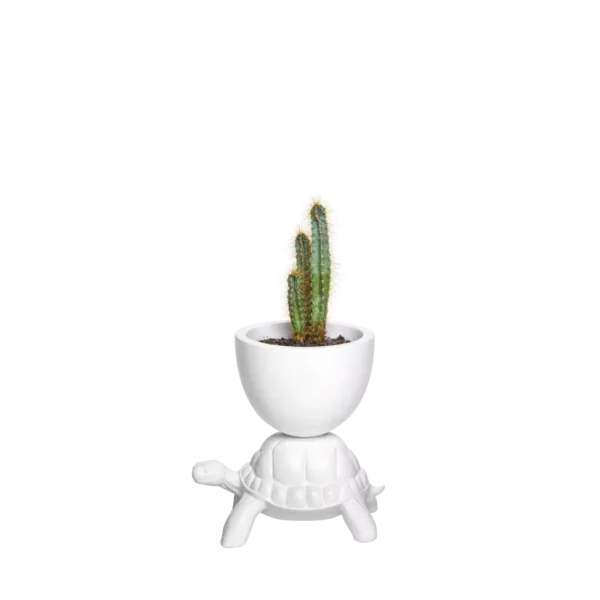 Ваза TURTLE CARRY XS PLANTER 3
