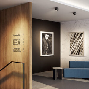 Потолочный светильник Spider 2