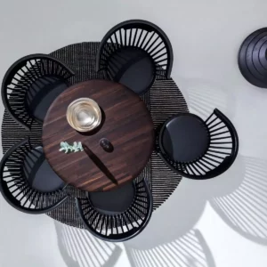 Стул FAN Black 10